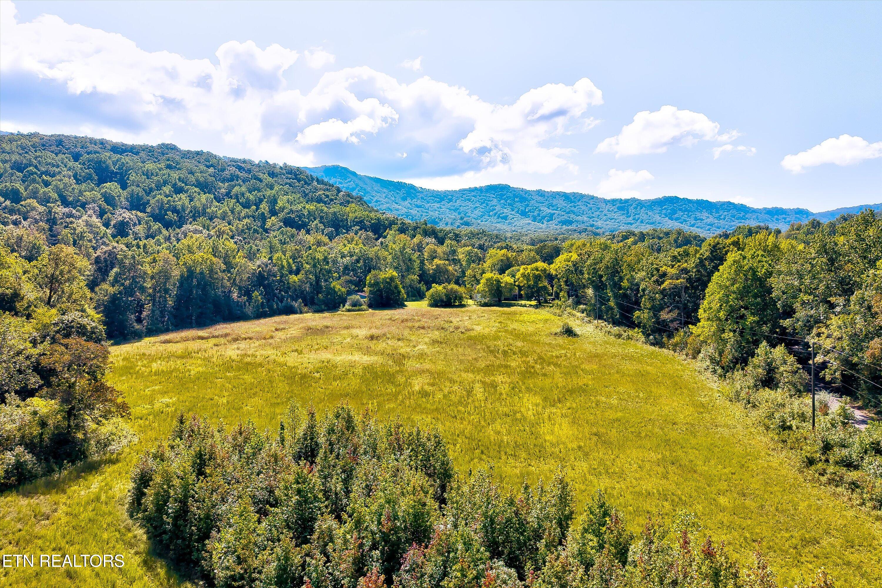 926 Sauls Road Seymour, TN 37865 - Photo 58 of 60 58-926 Sauls Rd-58