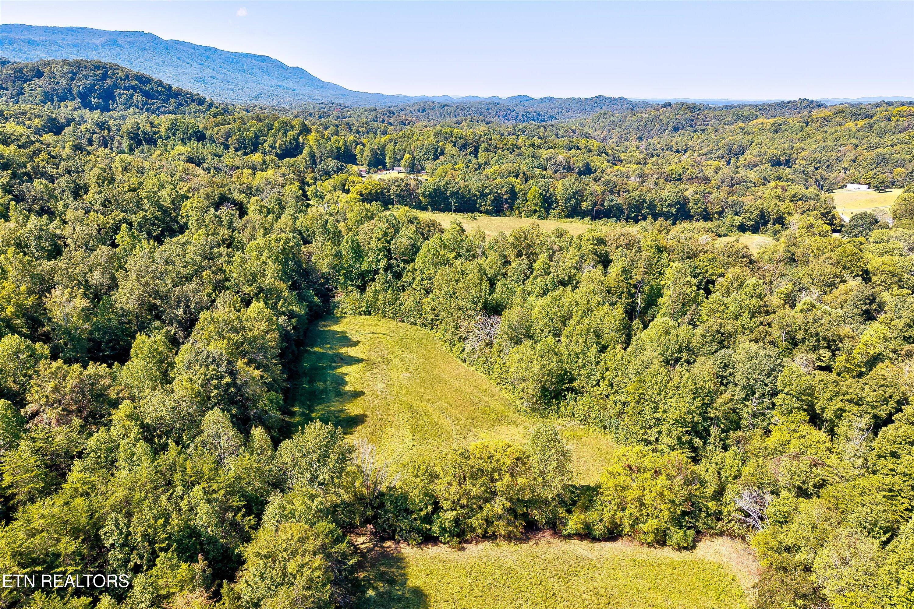 926 Sauls Road Seymour, TN 37865 - Photo 59 of 60 59-926 Sauls Rd-59