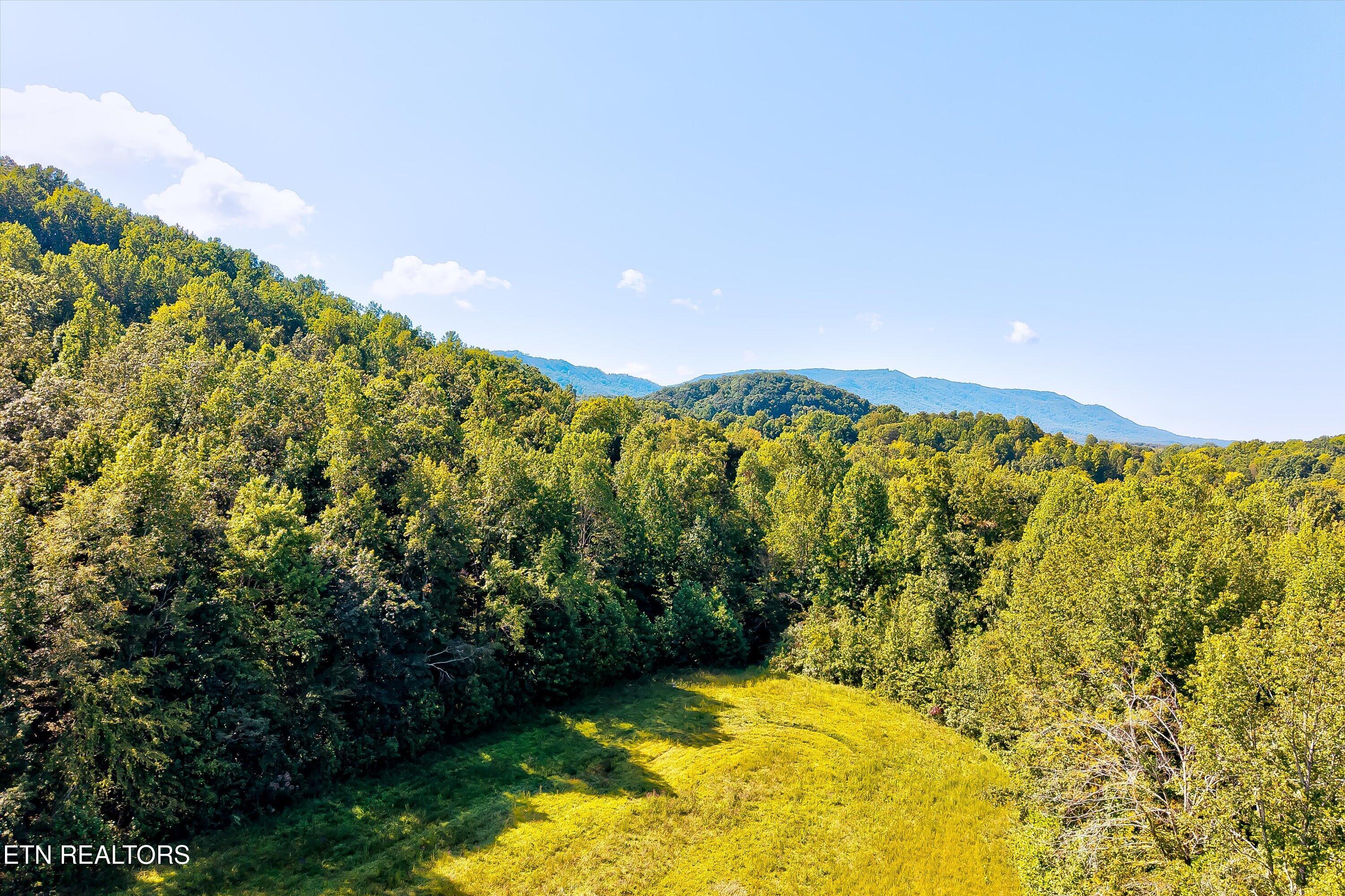 926 Sauls Road Seymour, TN 37865 - Photo 60 of 60 60-926 Sauls Rd-60