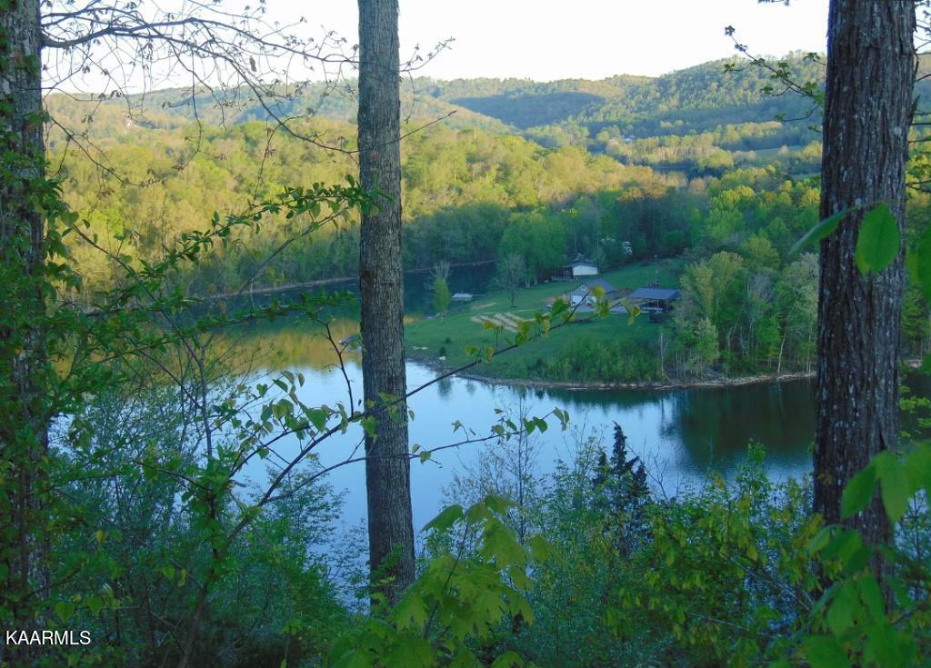 450 Sleepy Hollow Road Speedwell, TN 37870 - Photo 6 of 6 05