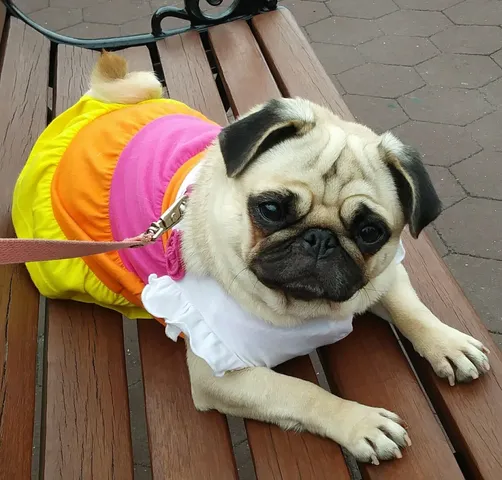 $390,000 | 7000 Boulevard East, Unit 22C, Guttenberg, NJ 07093