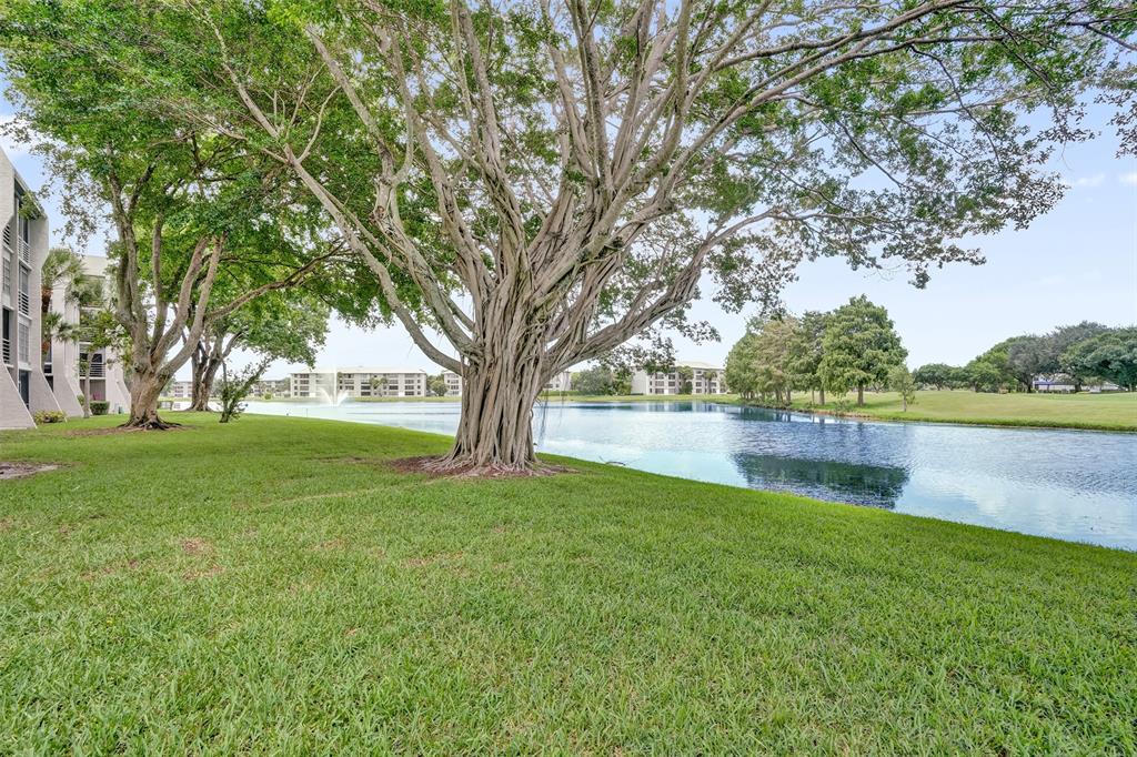 9235 Lagoon Place, Unit 207 Davie, FL 33324 - Photo 57 of 59 a view of lake with a yard