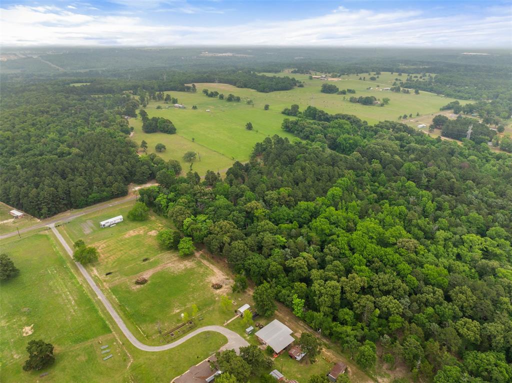 7398 County Road 334 Tyler, TX 75708 - Photo 13 of 39
