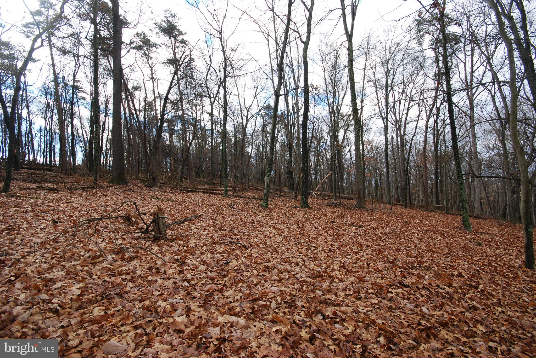 Lot 70-71 Mill Mountain Road Romney, WV 26757 - Photo 26 of 52