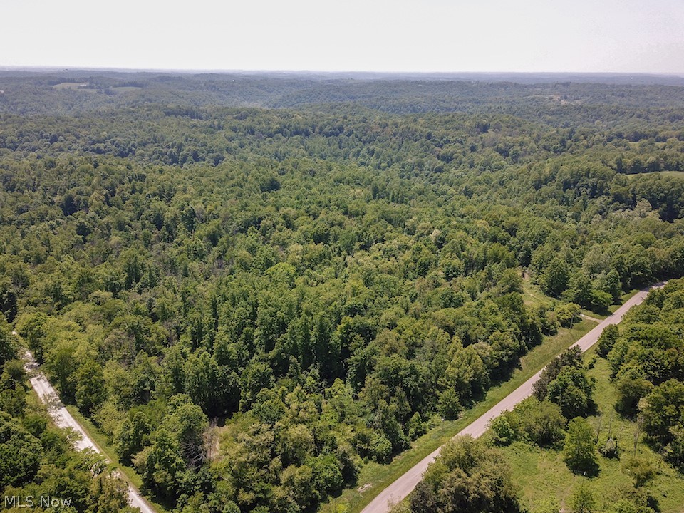 Hines Ridge Rd Port Port Washington, OH 43837 - Photo 6 of 35 Gallery Image 6