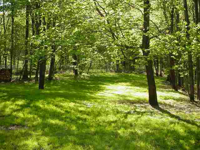 0 Lape Road Schodack, NY 12033 - Photo 1 of 1 Photo 1