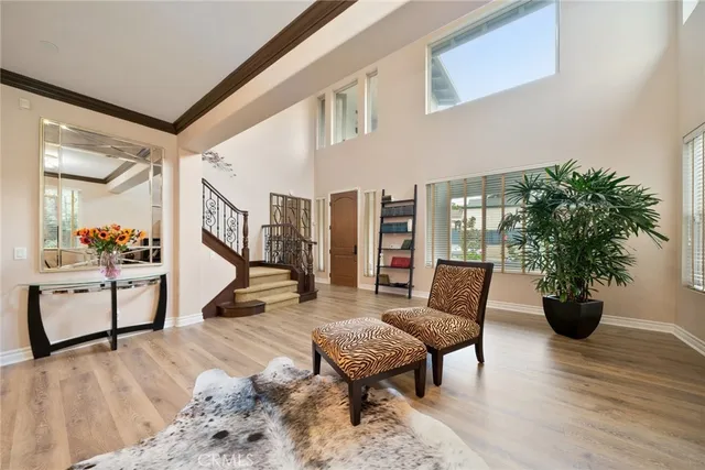 a living room with furniture and a potted plant