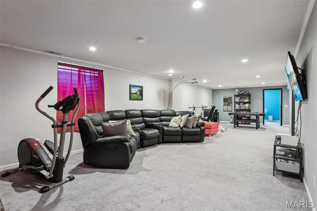 601 Whetstone Lane Mascoutah, IL 62258 - Photo 31 of 54