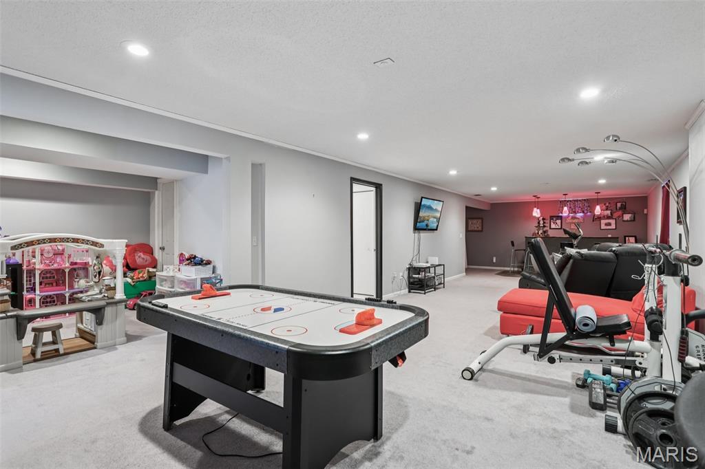 601 Whetstone Lane Mascoutah, IL 62258 - Photo 33 of 54