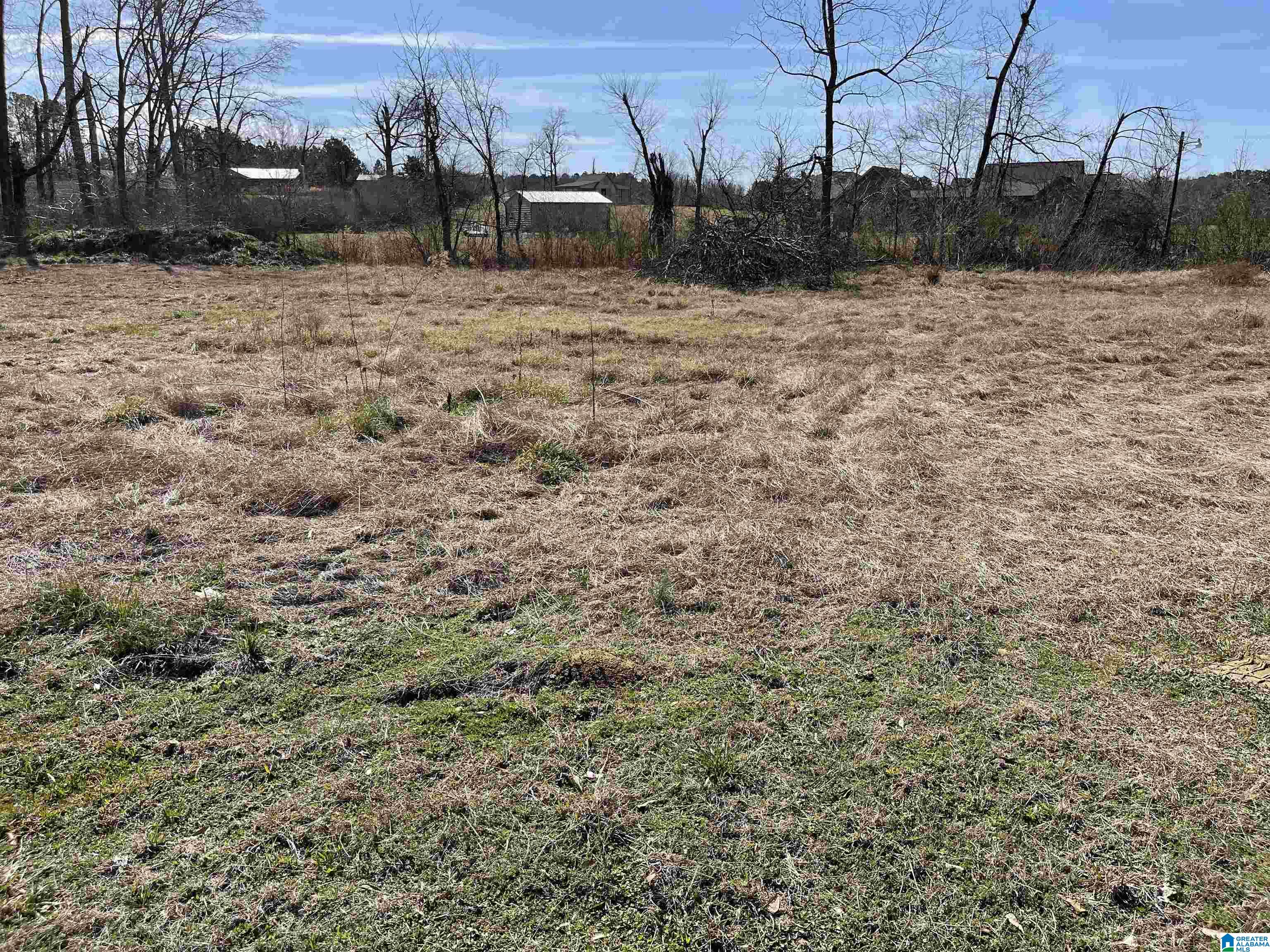 125 Mooney Road, Unit 1 & 2 Columbiana, AL 35051 - Photo 4 of 5