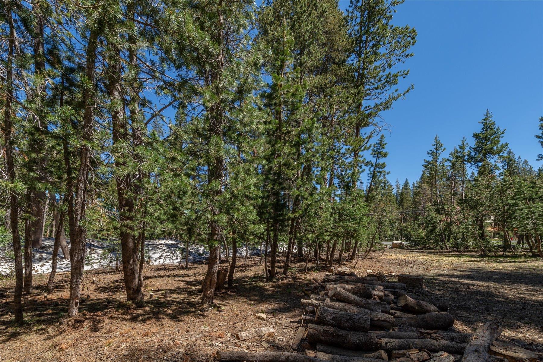 5595 Spruce Road Soda Springs, CA 95728 - Photo 18 of 21 Gallery Image 18