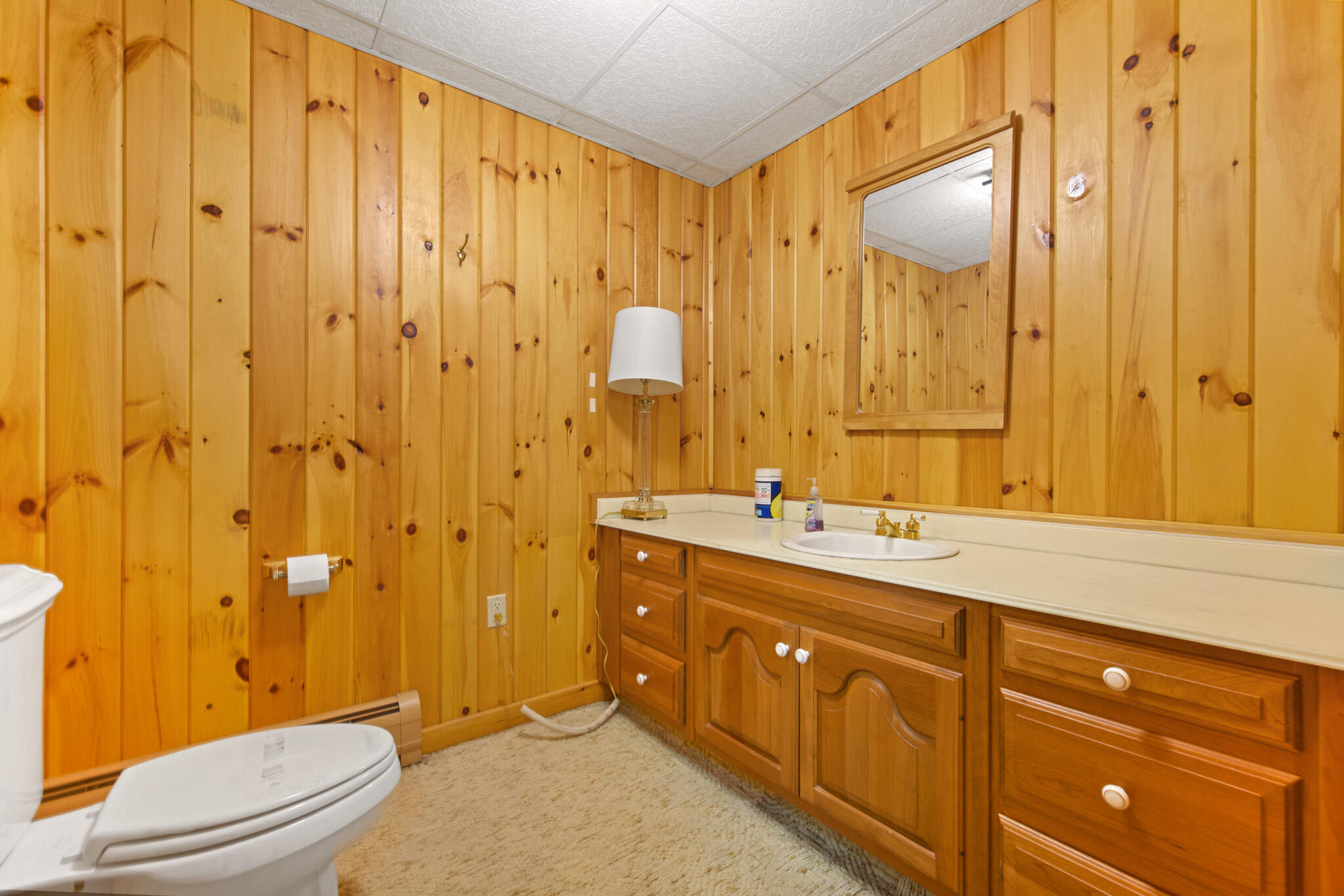 63 Fenton Way Bangor, ME 04401 - Photo 63 of 69 DSC_2176