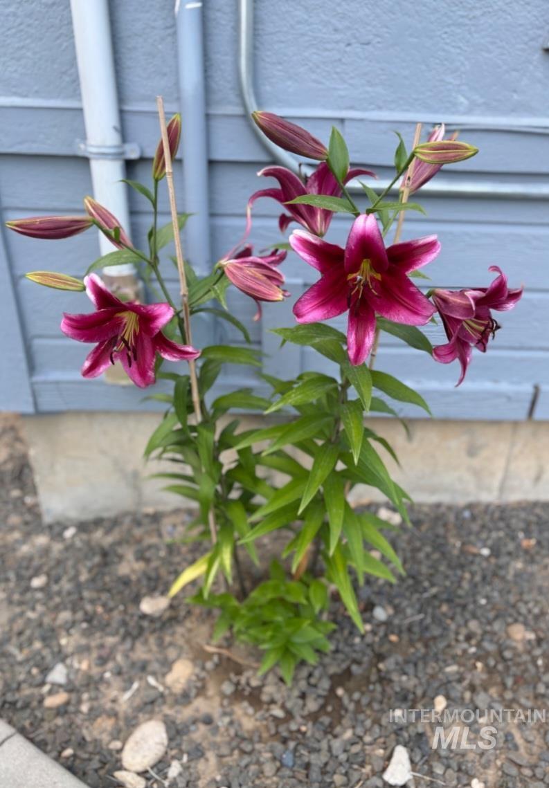 409 North 7th Street Payette, ID 83661 - Photo 17 of 22