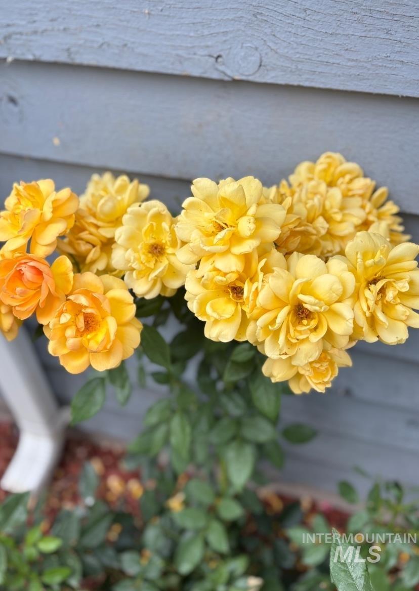 409 North 7th Street Payette, ID 83661 - Photo 18 of 22