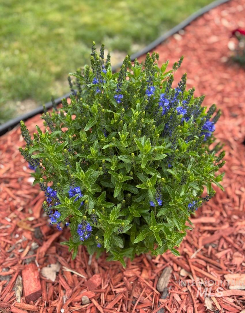 409 North 7th Street Payette, ID 83661 - Photo 19 of 22