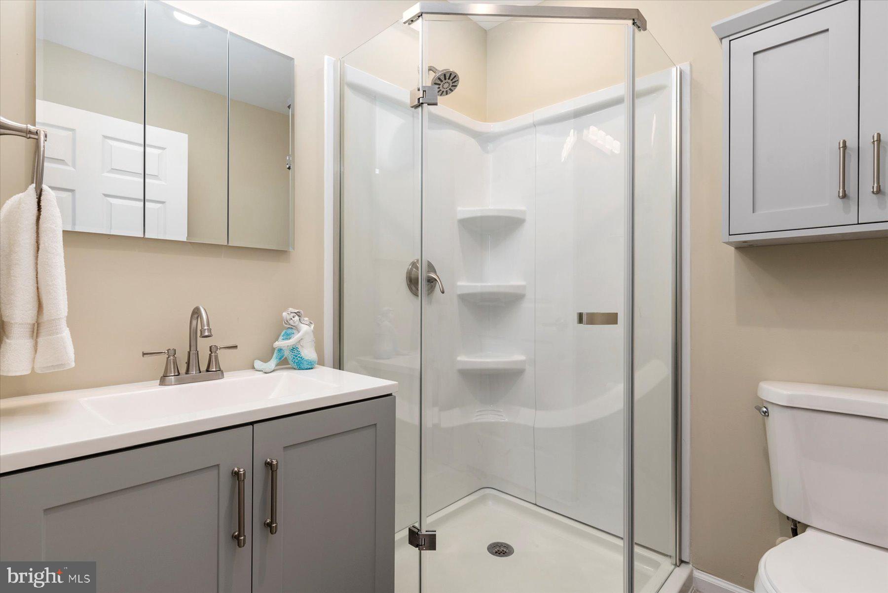 1608 Hilltop Road Edgewater, MD 21037 - Photo 14 of 37 Master Bathroom