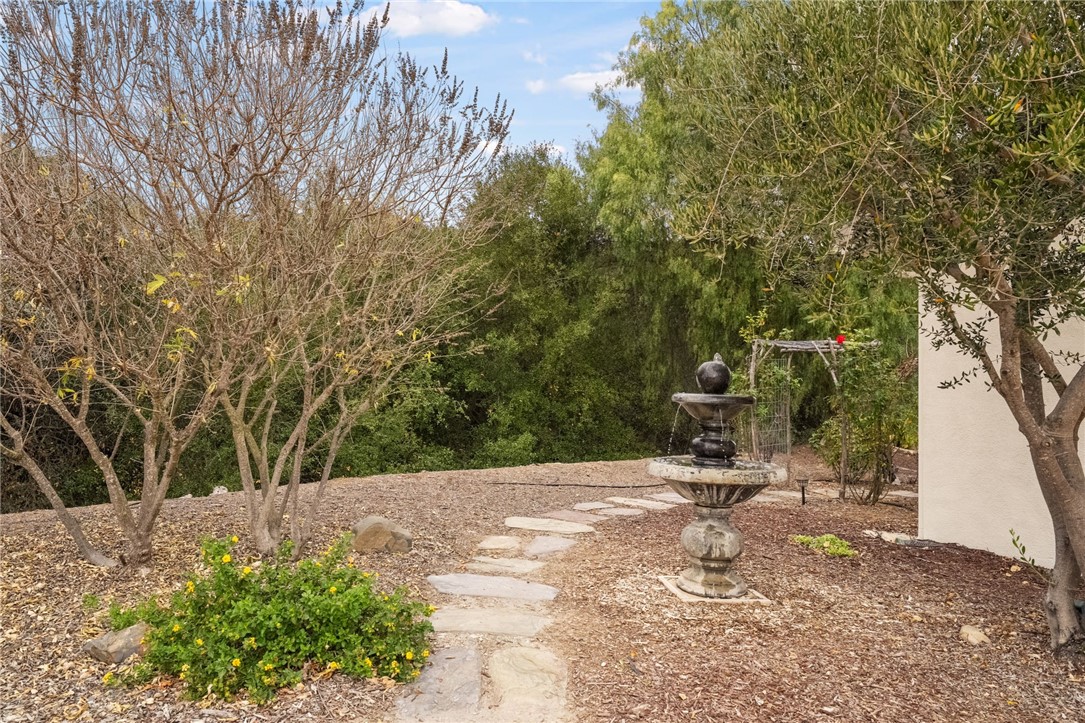 45600 La Cruz Drive Temecula, CA 92590 - Photo 56 of 75 a backyard of a house with lots of green space