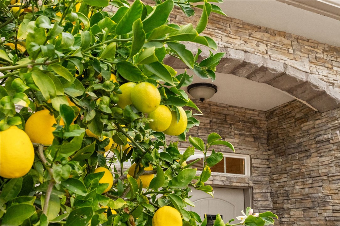 45600 La Cruz Drive Temecula, CA 92590 - Photo 6 of 75