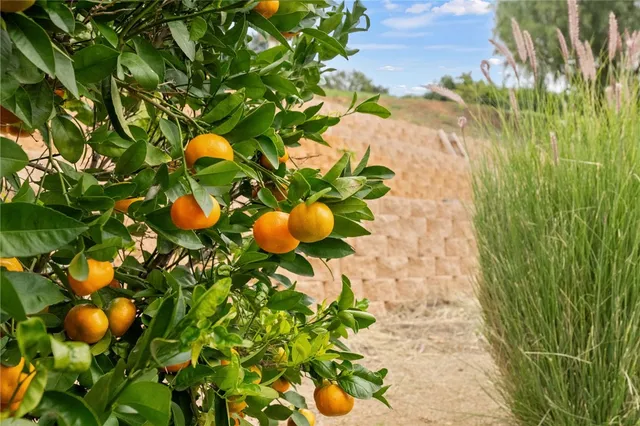 $1,150,000 | 45600 La Cruz Drive, Temecula, CA 92590