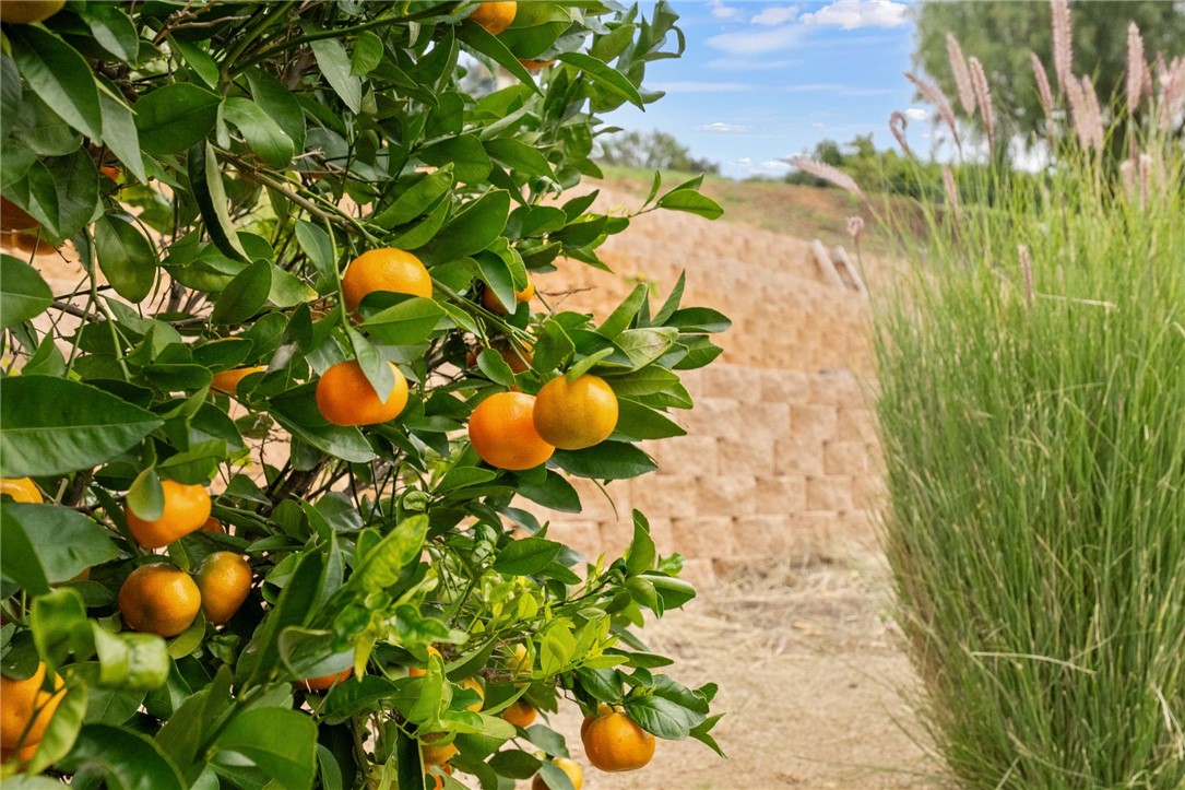 45600 La Cruz Drive Temecula, CA 92590 - Photo 68 of 75