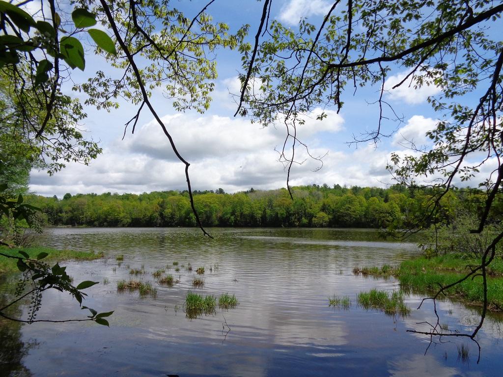 M8-l50 River Road Norridgewock, ME 04957 - Photo 9 of 23 1