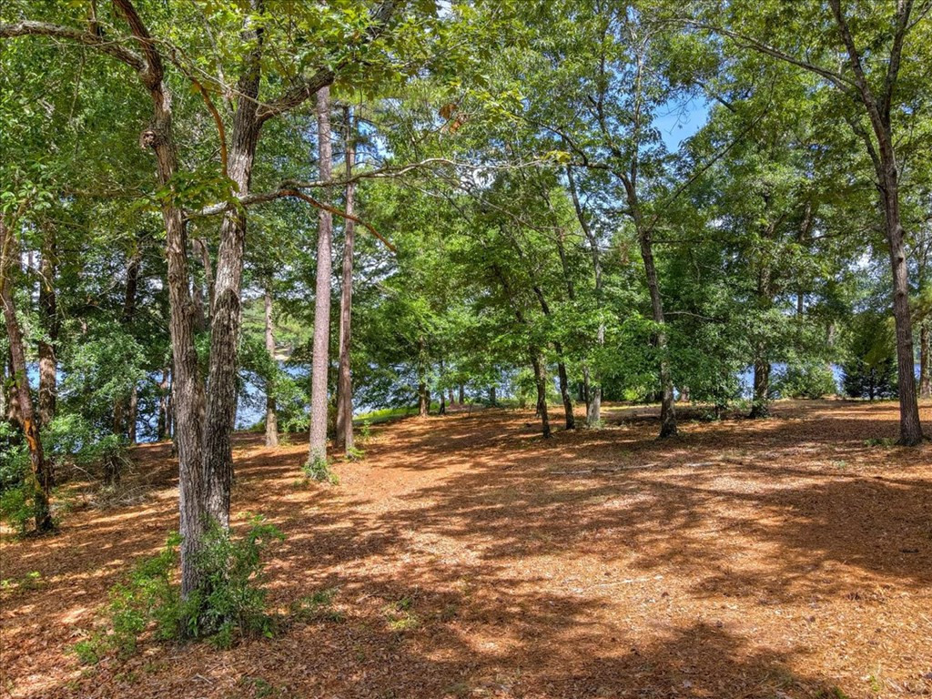 Lot 8 Wexford Mill Road Wagener, SC 29164 - Photo 11 of 14
