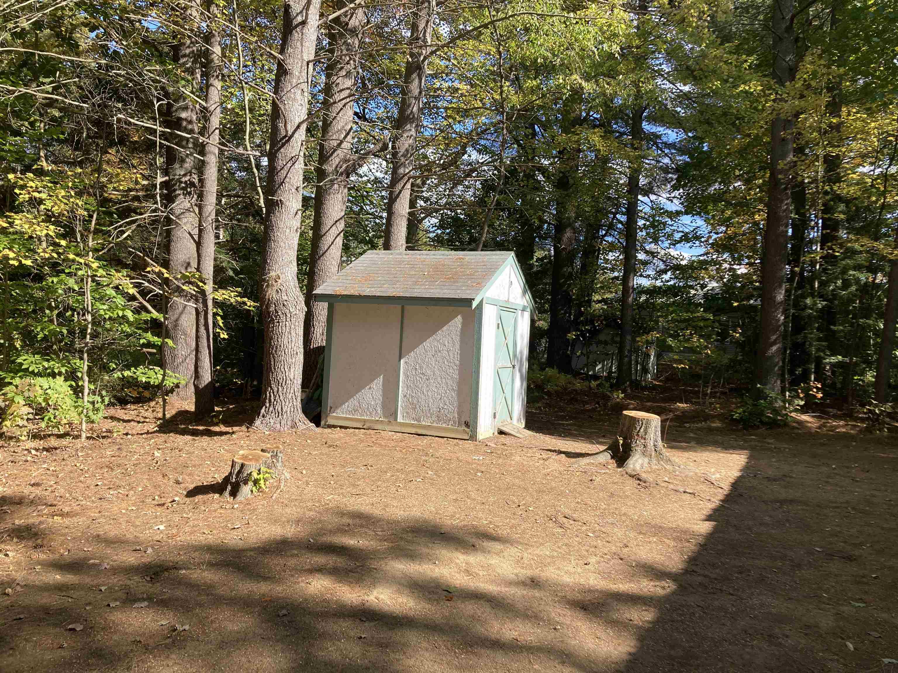 35 Wyman Road Deering, NH 03244 - Photo 8 of 10