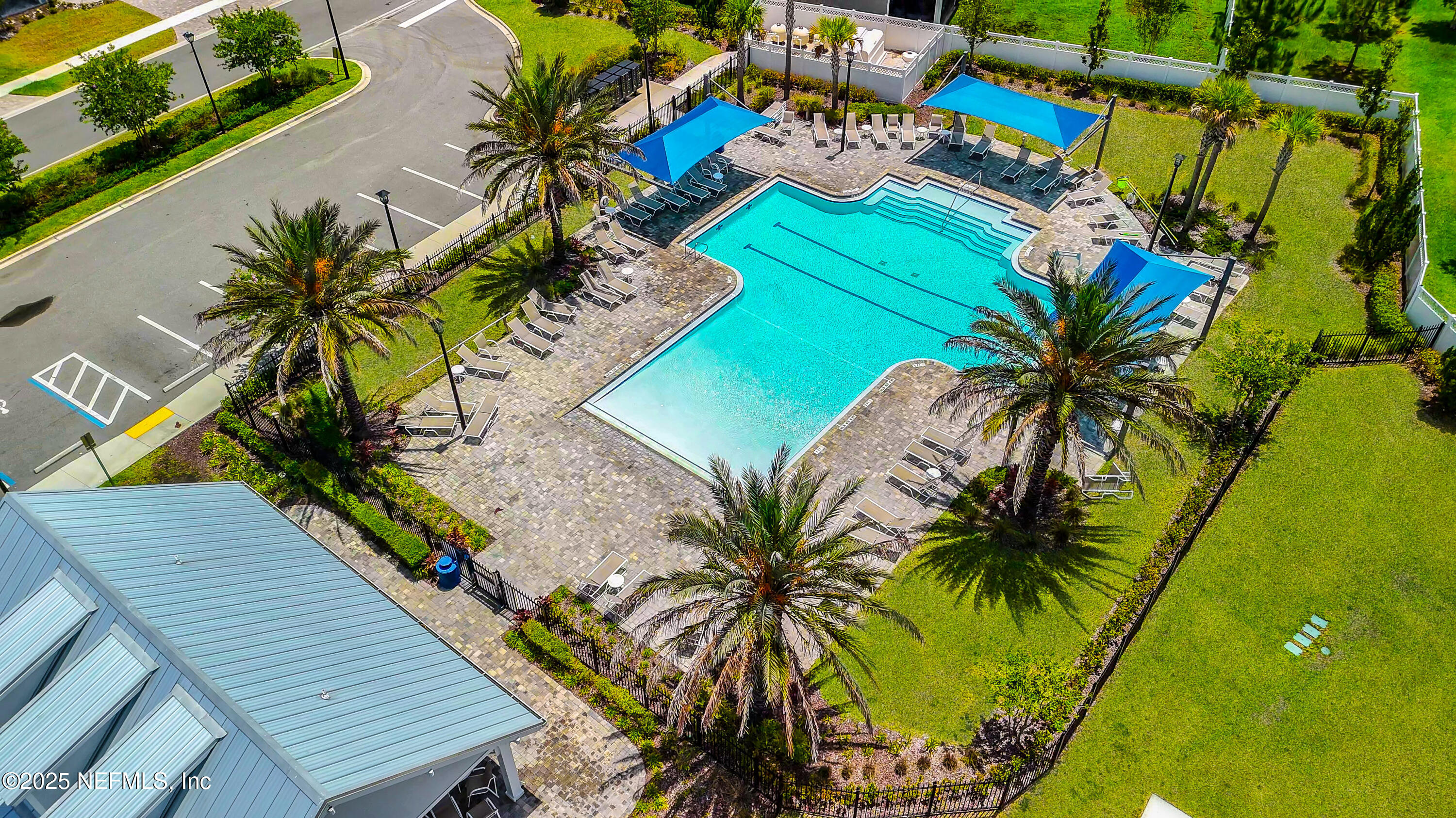 54 Wiltshire Drive St. Augustine, FL 32092 - Photo 20 of 23 a view of a backyard with plants and a palm tree