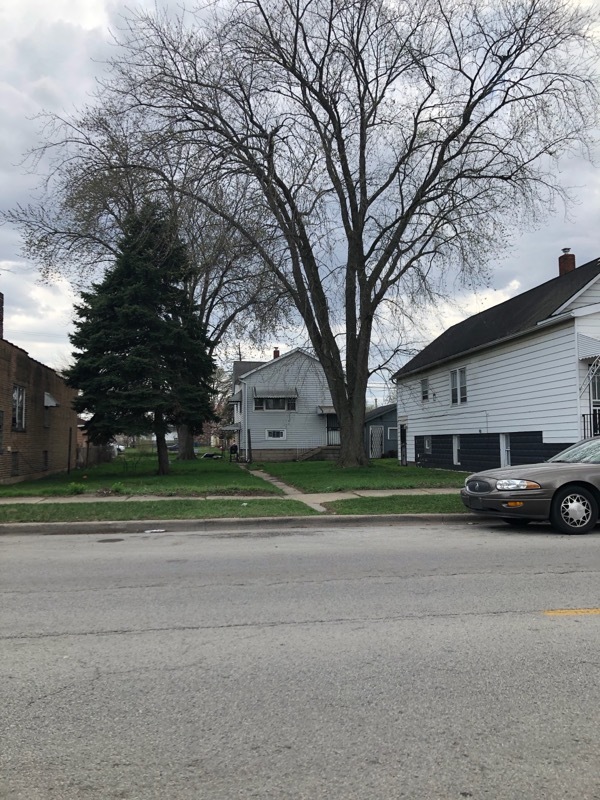 117 Pulaski Road Calumet City, IL 60409 - Photo 3 of 9 a view of road and trees