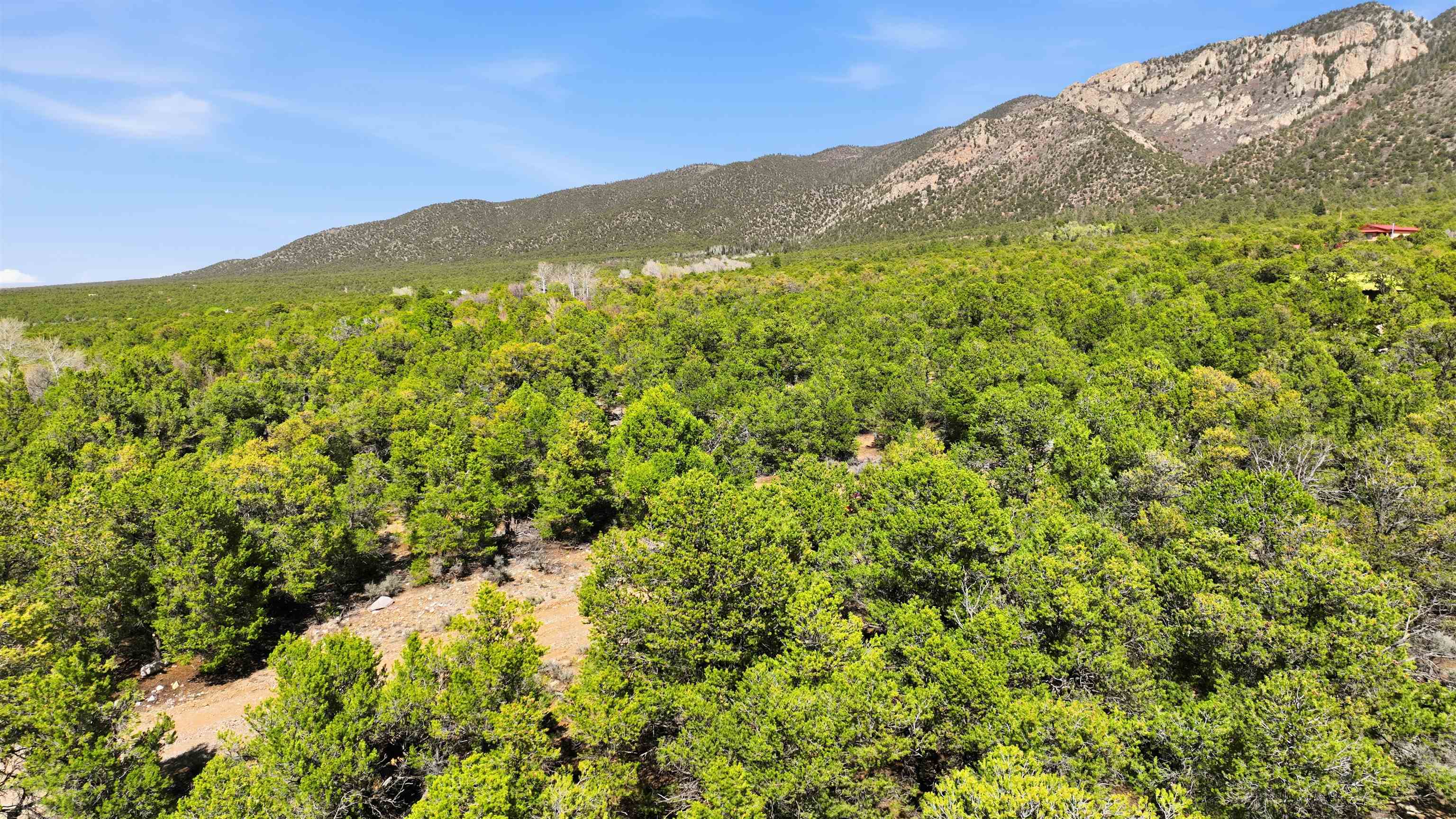 4 Plus Acres Vir Sylvia Road Questa, NM 87556 - Photo 16 of 28 Gallery Image 16