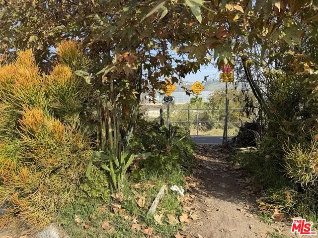 a view of a yard with plants and trees