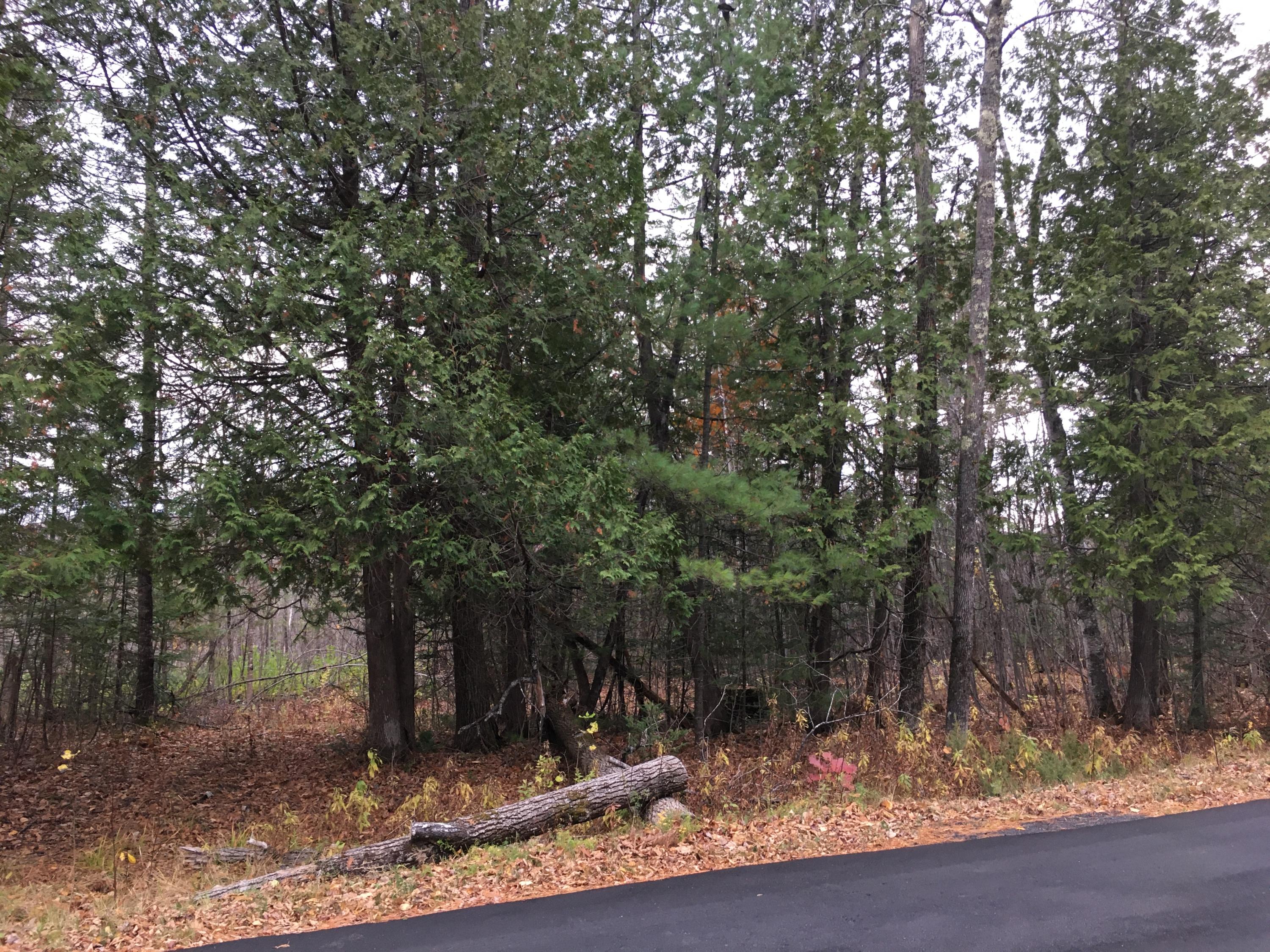0 Messer Road West Moscow, ME 04920 - Photo 1 of 3 IMG-2184