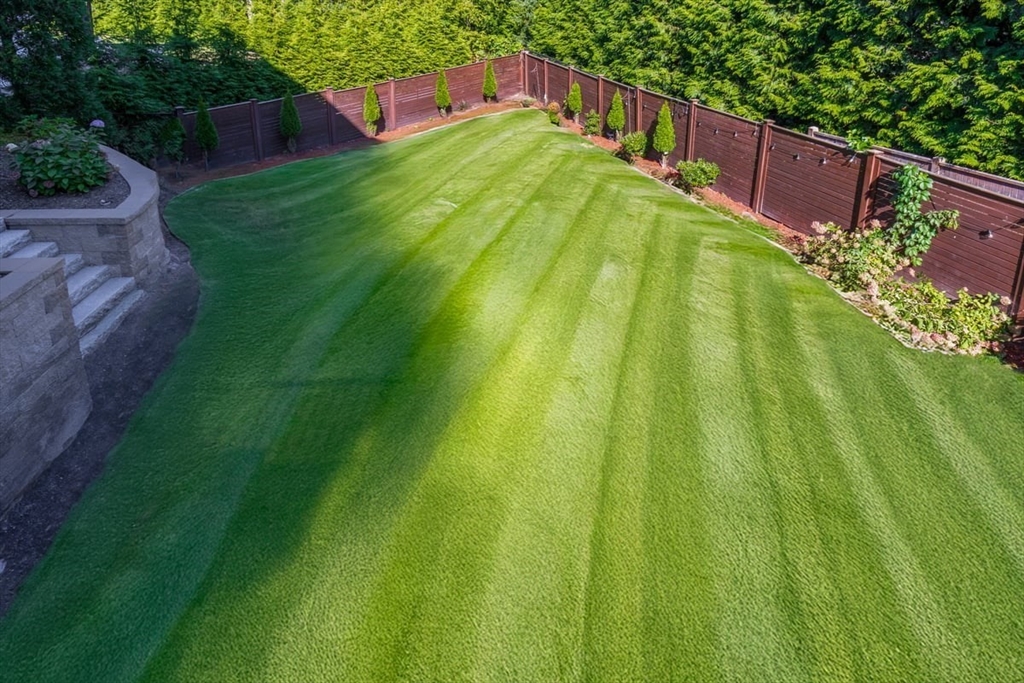 42 Evergreen Circle Newton, MA 02465 - Photo 27 of 33