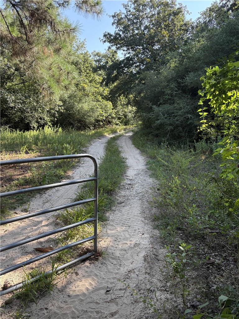 Tbd Kelley Lane Calvert, TX 77837 - Photo 13 of 17 a view of park bench