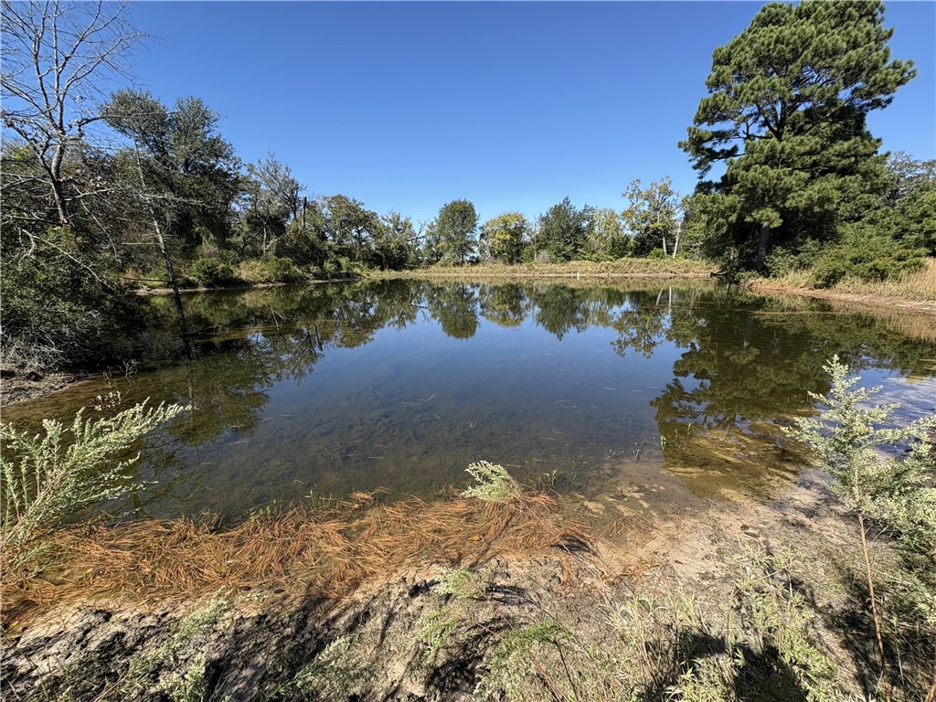 Tbd Kelley Lane Calvert, TX 77837 - Photo 15 of 17 a view of a lake from a yard