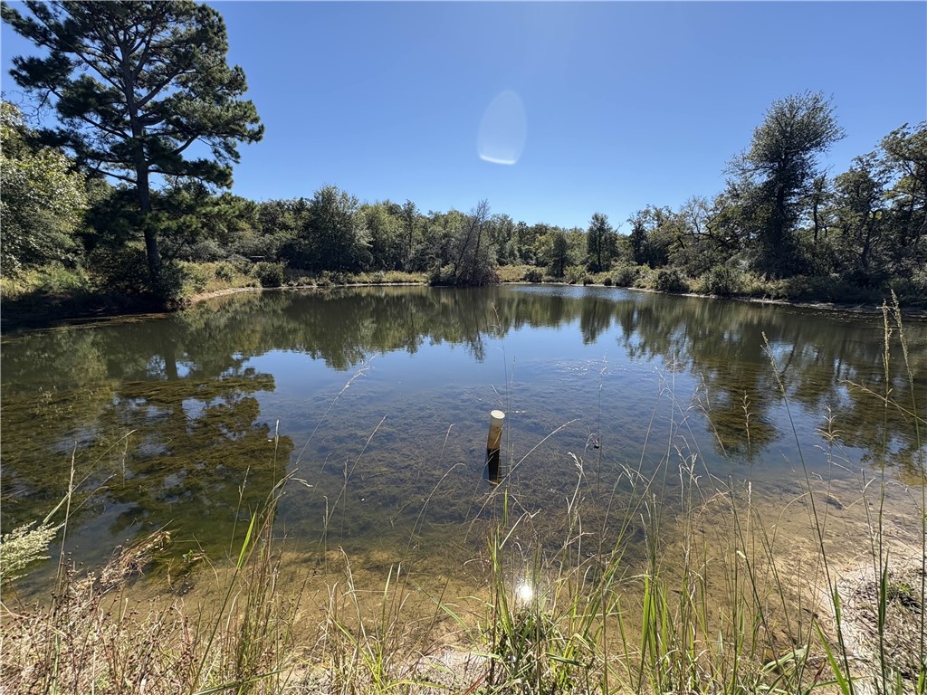 Tbd Kelley Lane Calvert, TX 77837 - Photo 16 of 17 a view of a lake