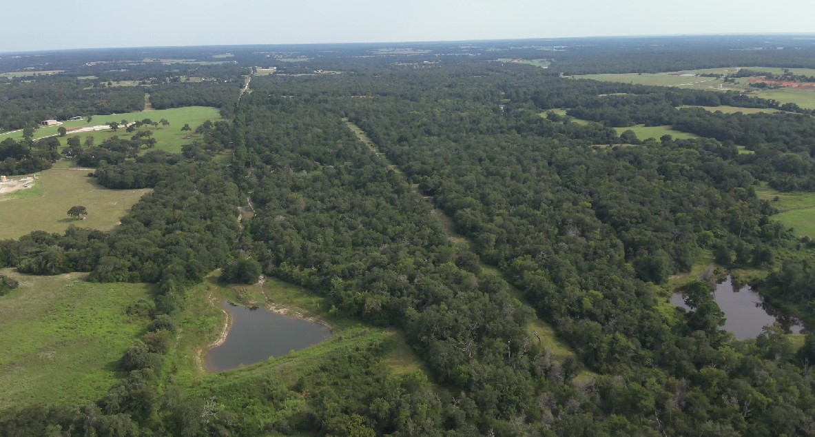 Tbd Kelley Lane Calvert, TX 77837 - Photo 2 of 17 a view of a lake with a city