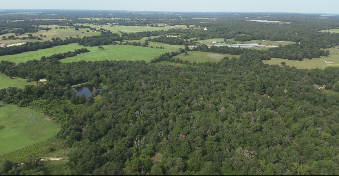 Tbd Kelley Lane Calvert, TX 77837 - Photo 5 of 17 an aerial view of forest