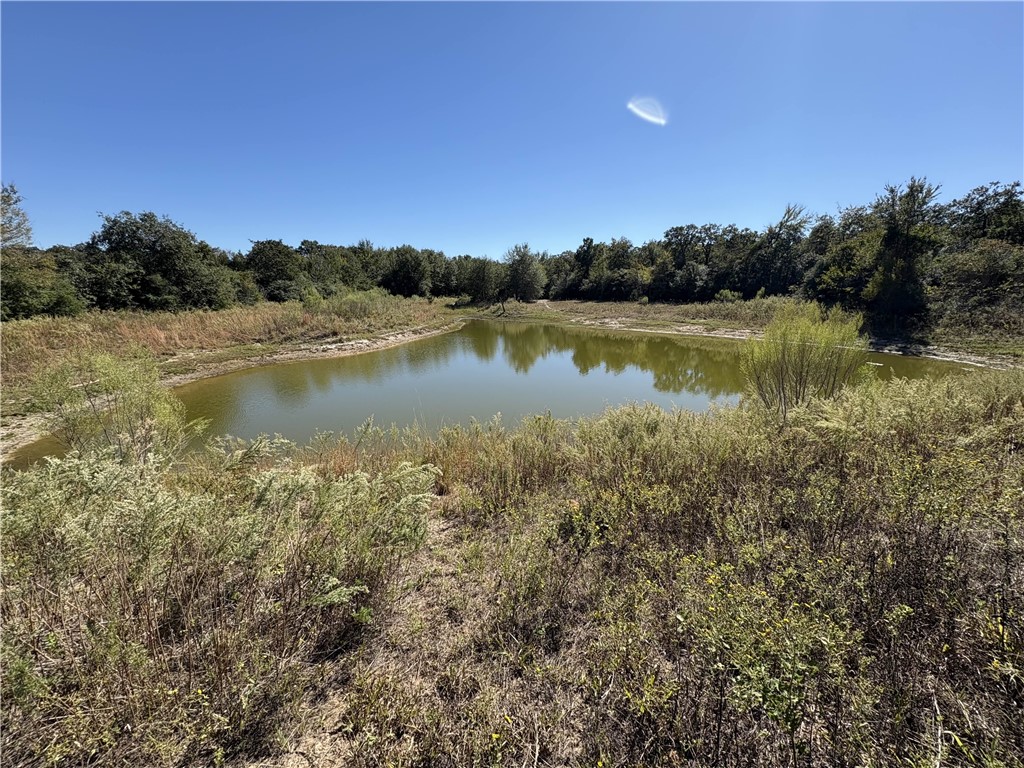 Tbd Kelley Lane Calvert, TX 77837 - Photo 8 of 17 a view of a lake from a yard