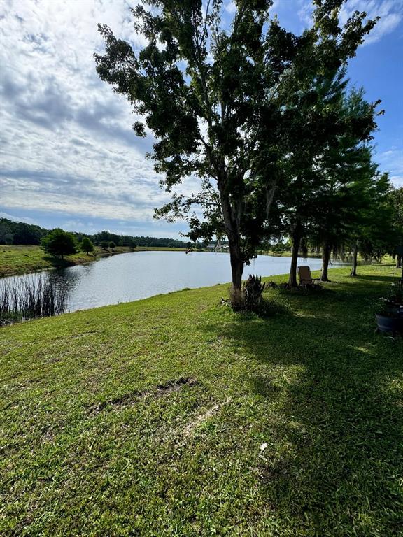 2543 Old Kent Circle Kissimmee, FL 34758 - Photo 24 of 41 a view of yard with swimming pool and green space