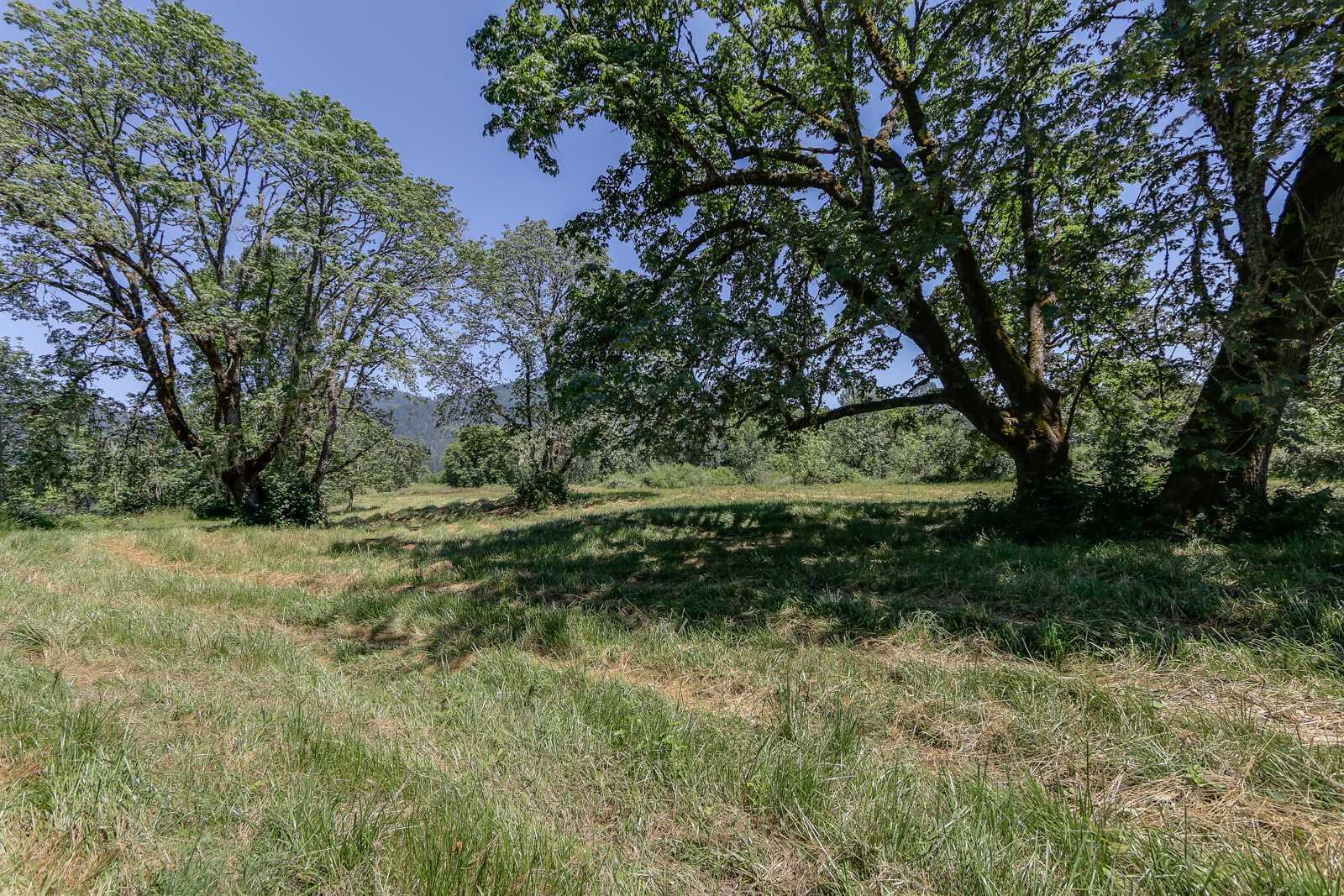 Delight Valley Cottage Grove, OR 97424 - Photo 15 of 27 MLS 15