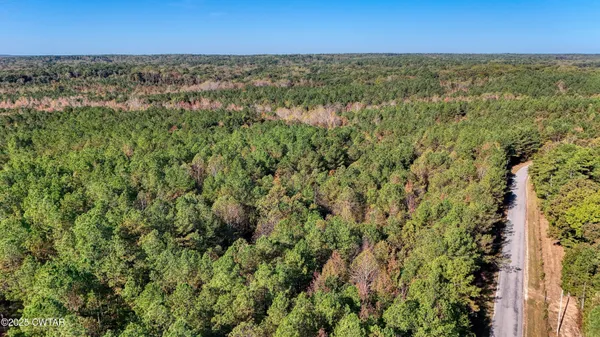 an aerial view of residential houses with outdoor space and trees