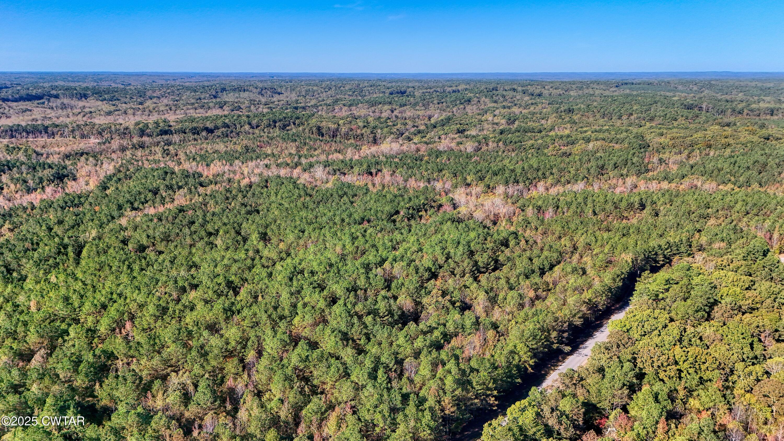 0 Cavia Road Westport, TN 38387 - Photo 2 of 9 a view of a room with an outdoor space