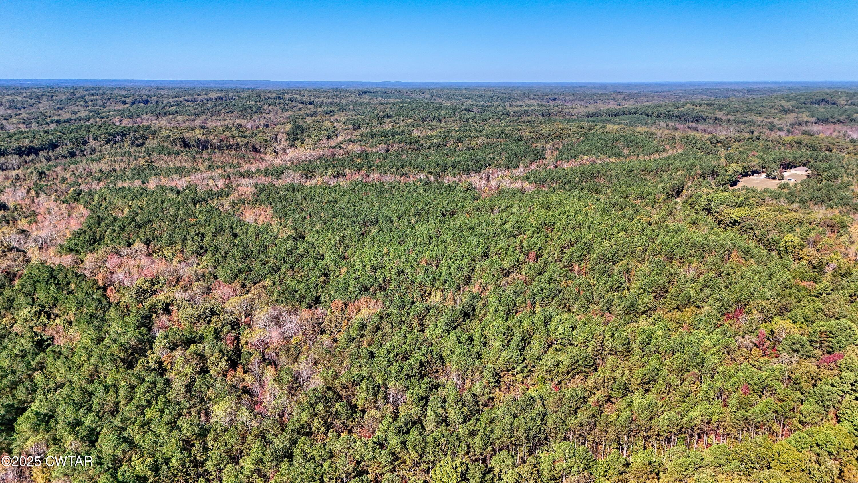 0 Cavia Road Westport, TN 38387 - Photo 4 of 9 an aerial view of residential houses with outdoor space