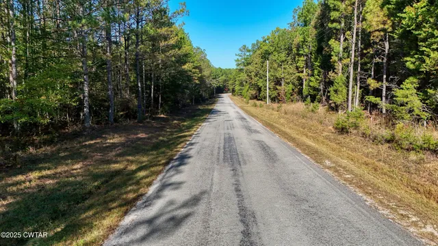 a view of an outdoor space