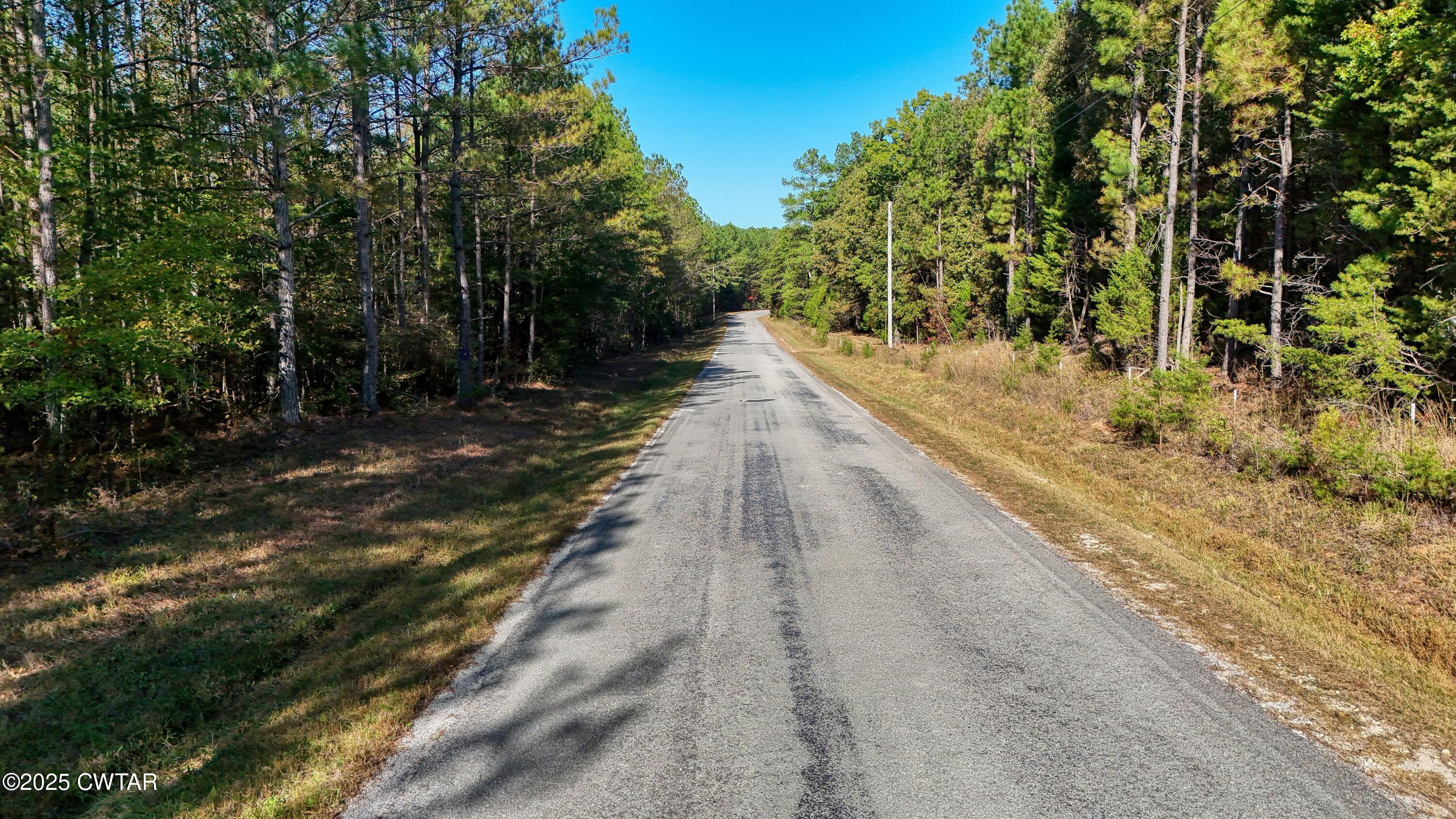 0 Cavia Road Westport, TN 38387 - Photo 5 of 9 a view of an outdoor space