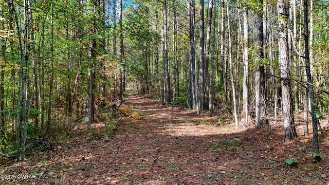 a view of outdoor space with trees