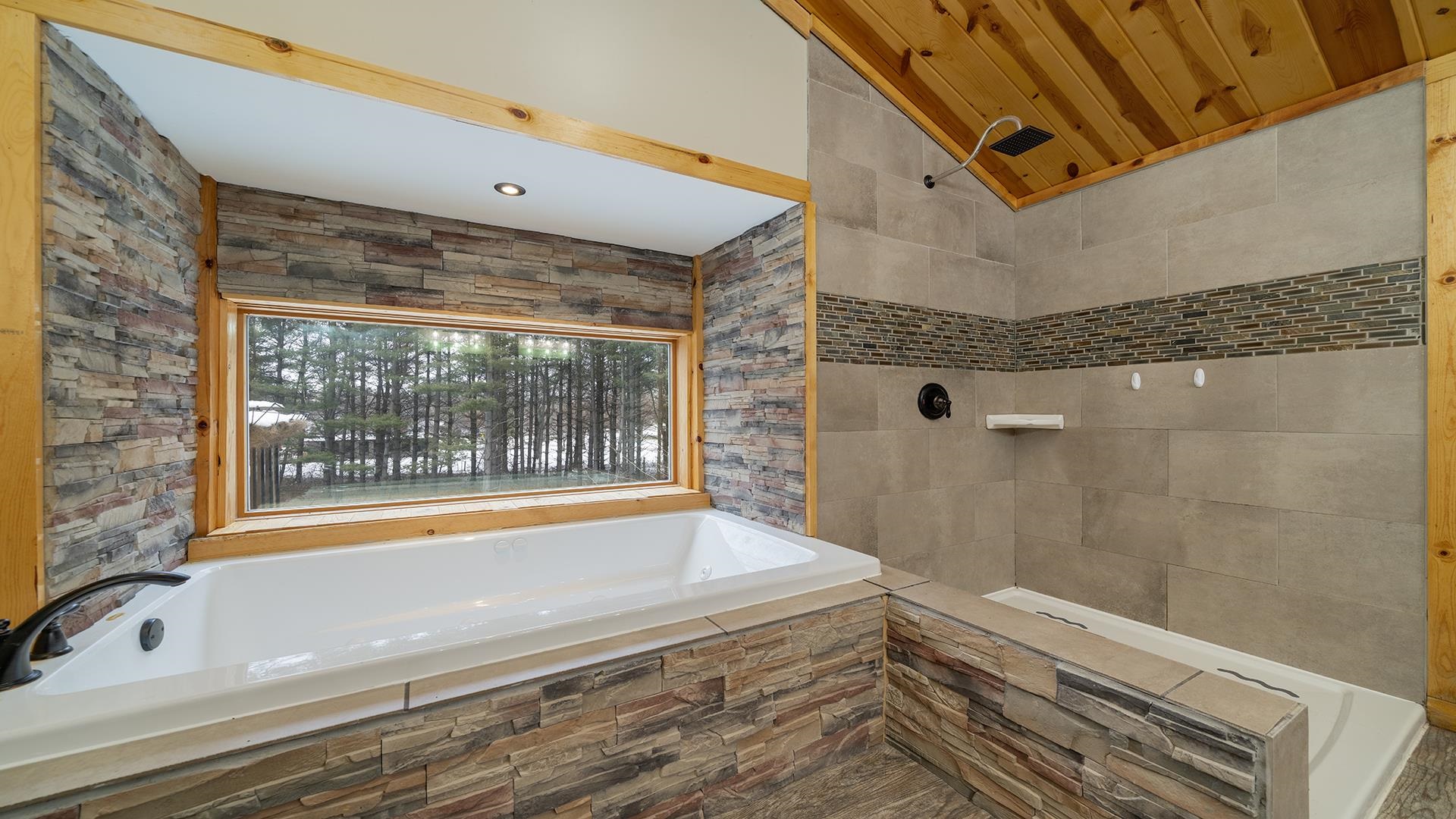 2063 Grand Detour Road Dixon, IL 61021 - Photo 20 of 44 a bathroom with a bathtub and a shower
