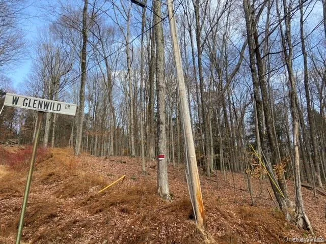 a backyard of a house with lots of palm trees