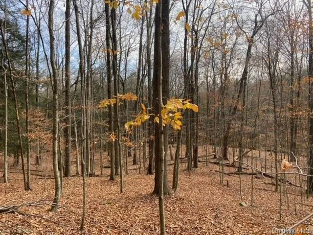 a view of outdoor space with lots of trees